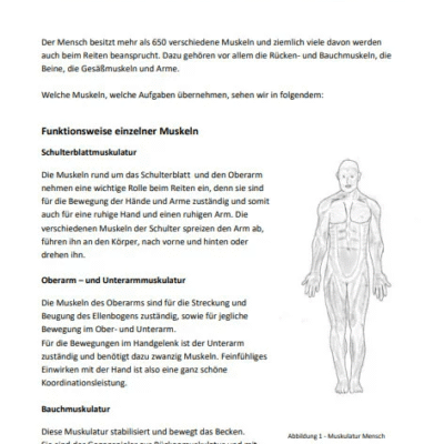 Der Weg zum richtigen Sitz (eBook) 9 reitersitz bsp inhalt