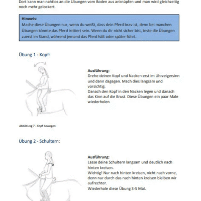 Der Weg zum richtigen Sitz (eBook) 8 reitersitz bsp