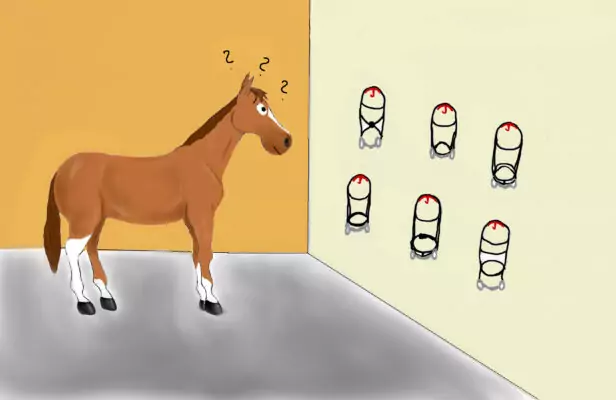 verschiedene reithalfter an einer wand. karikatur