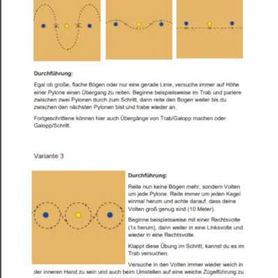 Fit durch clevere Pylonen- und Stangenarbeit 9 Fit durch clevere Pylonen- und Stangenarbeit – Bild 4