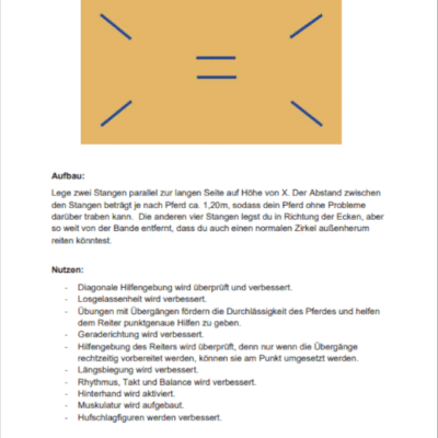 Fit durch clevere Pylonen- und Stangenarbeit 8 Fit durch clevere Pylonen- und Stangenarbeit – Bild 3