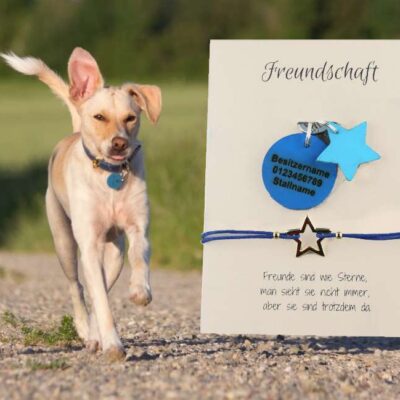 hundemarke set freundschaft