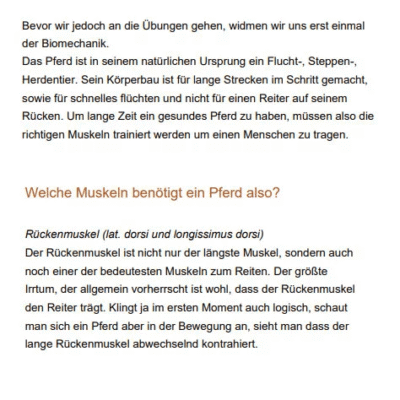 Physiotherapie für Dein Pferd 9 physiotherapie pferd bsp 1