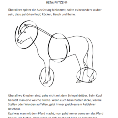 reitanfänger buch beispiel reitenlernen