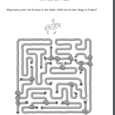 reitanfänger buch beispiel 2 reitenlernen