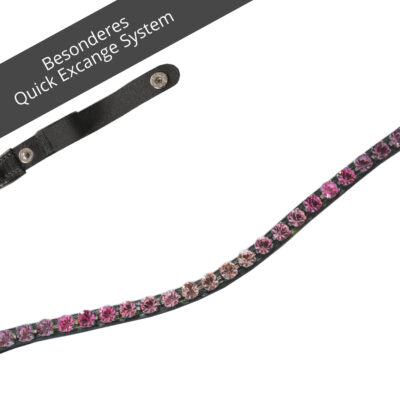 stirnriemen rose verlauf
